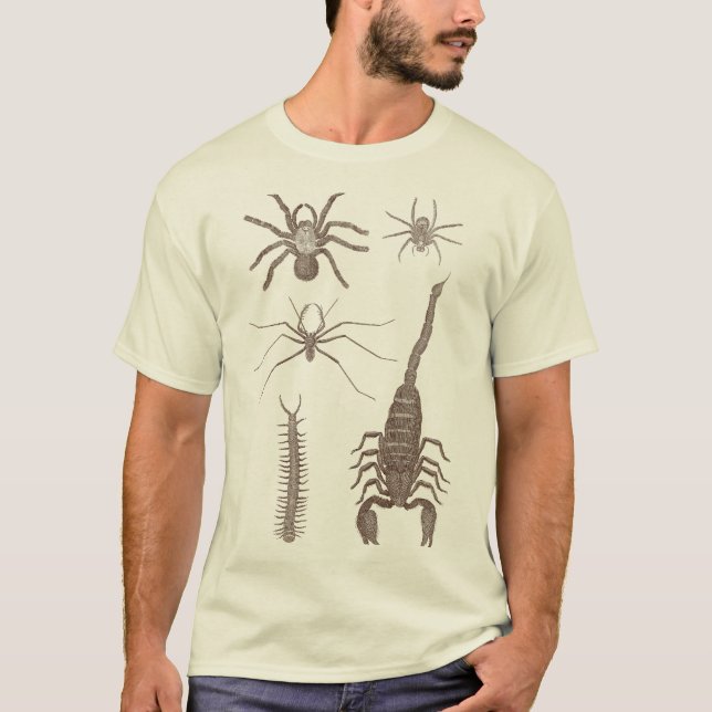 Arachnophobia! Spinnen u. Skorpione Front und T-Shirt (Vorderseite)