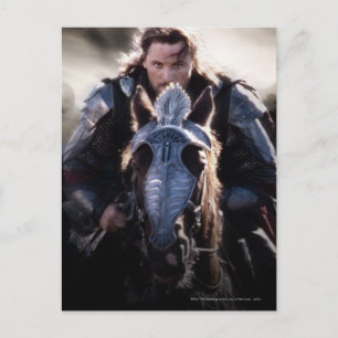 Aragorn Reitpferd Postkarte