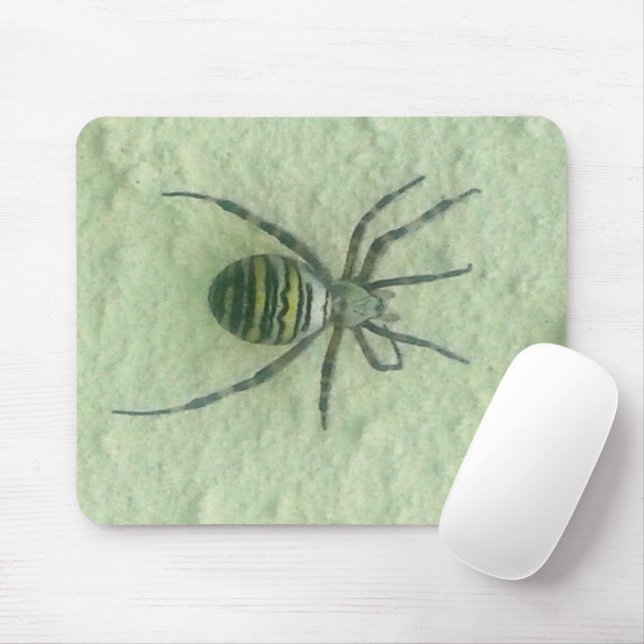 Araignee Spinne Mousepad (Mit Mouse)