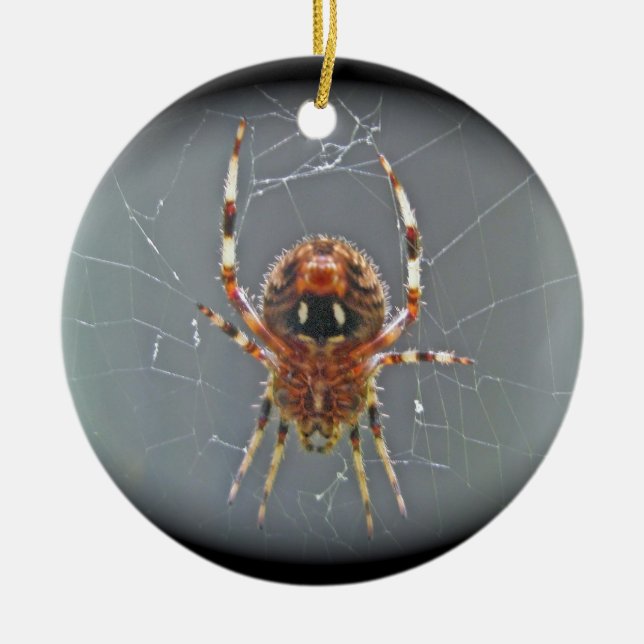 Araneus-Kugel-Weber-Spinnen-Weihnachtsverzierung Keramikornament (Vorne)