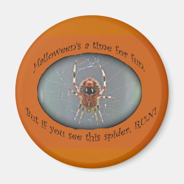 Araneus Orb Weaver Spider Halloween Magnet (Vorne)