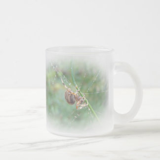 Araneus - Weaver Spider Mattglastasse