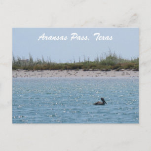Aransas Pass Texas Coast Postcad mit Pelican Postkarte
