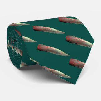 Arapaima gigas krawatte