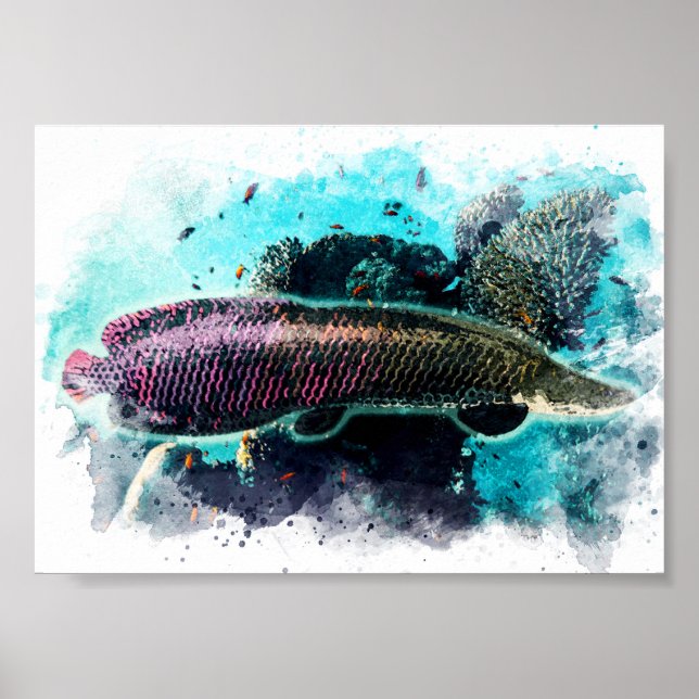 Arapaima Monster Fisch Pirarucu Paichu Poster (Vorne)