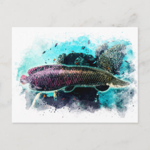 Arapaima Monster Fisch Pirarucu Paichu Postkarte