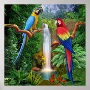 Arara-Tropenpapageien Poster