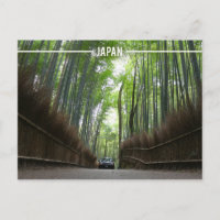 Arashiyama Bamboo Forest, Kyoto, Japan