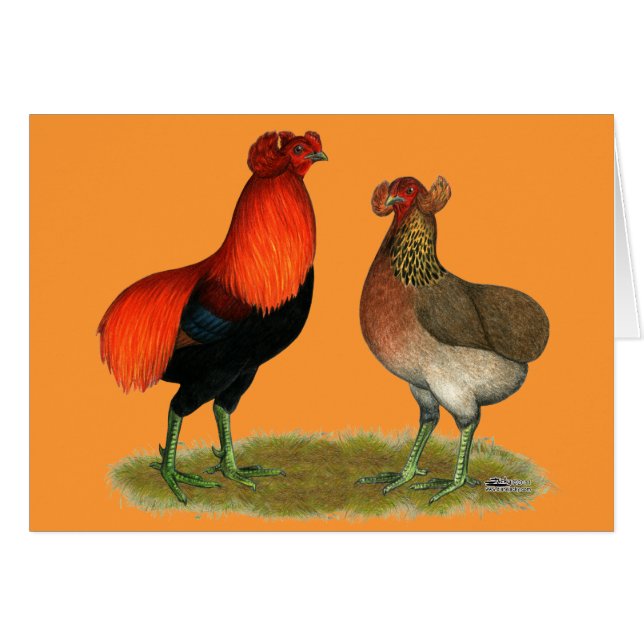 Araucana Rotes Paar (Vorderseite (Horizontal))