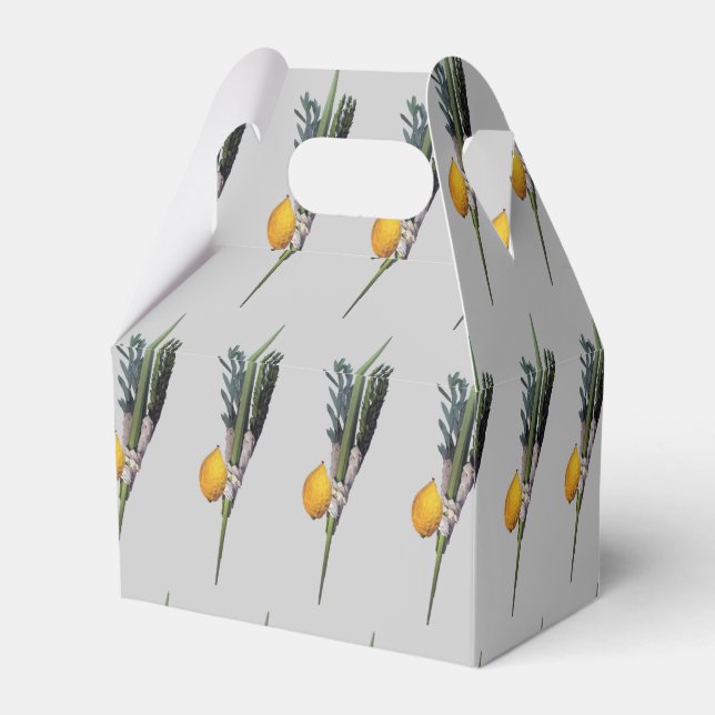 Arba Minim - Lulav, Esrog, Hadas & Aravah Geschenkschachtel (Rückseite)