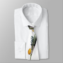 Arba Minim - Lulav, Esrog, Hadas u. Aravah