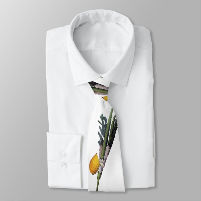 Arba Minim - Lulav, Esrog, Hadas u. Aravah Krawatte (Gebunden)