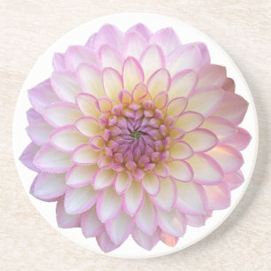 Arbatax Dahlia, Rosa Blume Sandstone Untersetzer