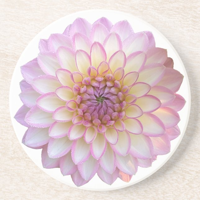 Arbatax Dahlia, Rosa Blume Sandstone Untersetzer (Vorne)