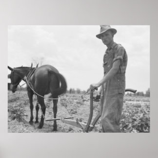 Arbeit in der Baumwolle Poster