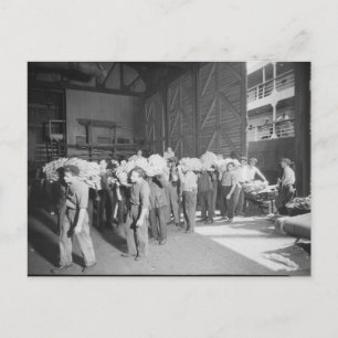 Arbeiten am Bananenboot - Vintag Postkarte