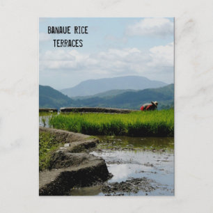 Arbeiten an den Terrassen Postkarte