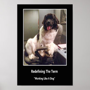 Arbeiten wie ein Hundeplakat Poster