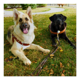 Arbeitende Mädchen Poster