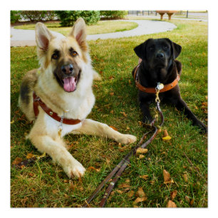 Arbeitende Mädchen Poster