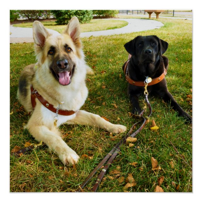 Arbeitende Mädchen Poster (Vorderseite)