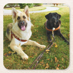 Arbeitende Mädchen Rechteckiger Pappuntersetzer