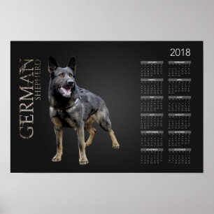 Arbeitender Schäferhund-Hund - GSD Kalender 2018 Poster
