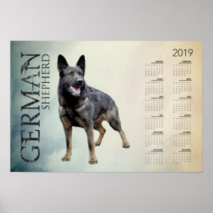 Arbeitender Schäferhund-Hund - GSD Kalender 2019 Poster