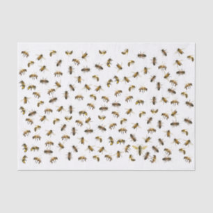 Arbeiter-Bienen und Queen Apiary Wrap und Decoupag Seidenpapier