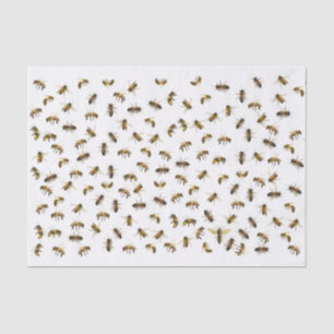 Arbeiter-Bienen und Queen Apiary Wrap und Decoupag Seidenpapier