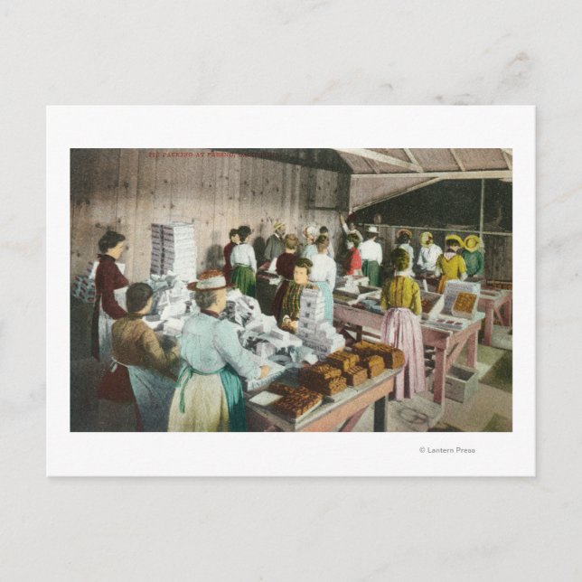 Arbeitnehmer, die Goodies verpackenFresno, CA Postkarte (Vorderseite)