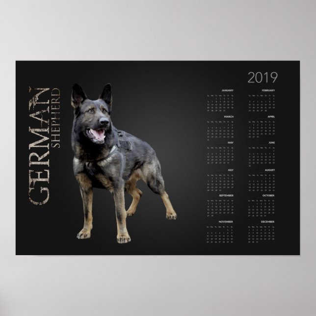 Arbeitsdeutscher Schäferhund - GSD-Kalender 2019 Poster (Vorne)