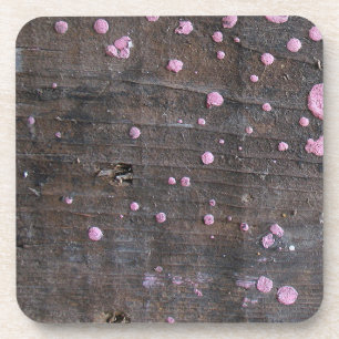 Arbeitsholz 4A Getränkeuntersetzer