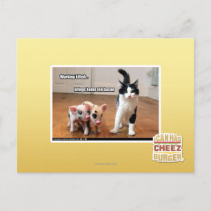 Arbeitskitte Postkarte