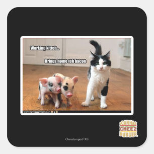 Arbeitskitte Quadratischer Aufkleber