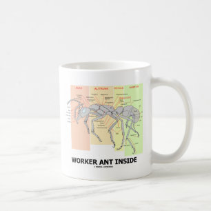 Arbeitskraft-Ameisen-Innere (Ameisen-Anatomie) Tasse