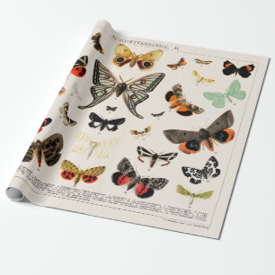 ARBEITSPAPIER: ANTIQUE SCHALTFLEUNDLICHKEIT UND MO GESCHENKPAPIER
