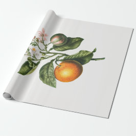 ARBEITSPAPIER: BITTER ORANGE BLOSSOM GESCHENKPAPIER