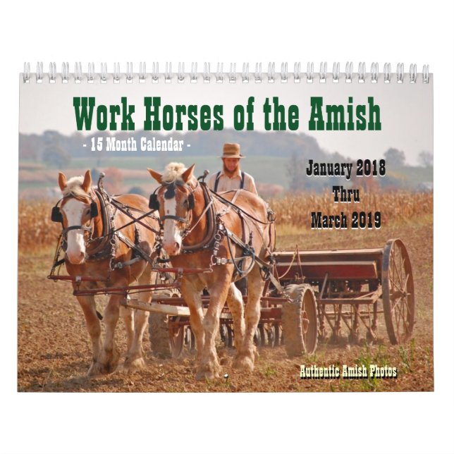 Arbeitspferde des Amish2 Kalender (Titelbild)