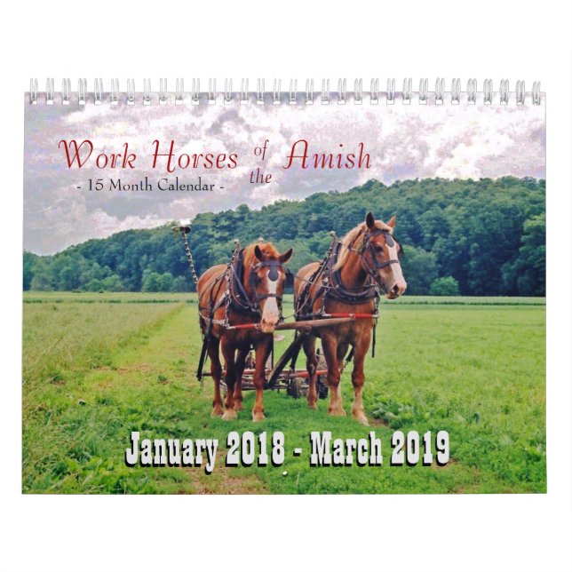 Arbeitspferde des Amish Kalender (Titelbild)