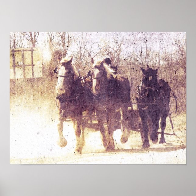 Arbeitspferde Poster (Vorne)