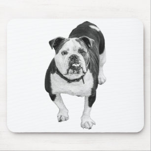 Arbeitstags-Wärme, Bulldoggen-Schreibtischunterlag Mousepad