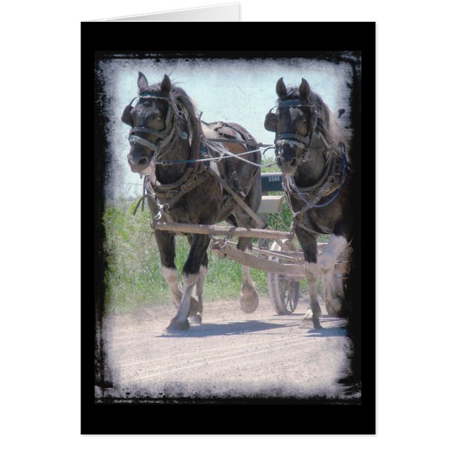 Arbeitstifte (Vorne)