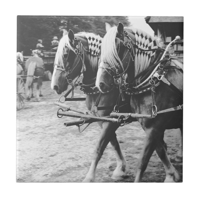 Arbeitstische Pferde in Schwarz und Weiß Fliese (Vorderseite)