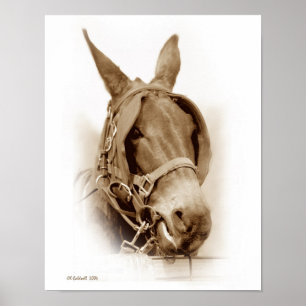 Arbeitsunfall Poster