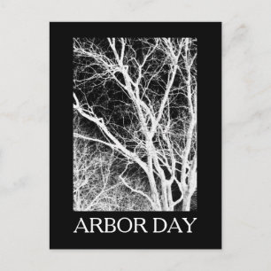 Arbor-Day-Geistbaum Postkarte