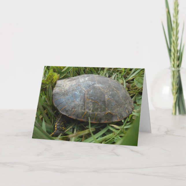 „Arboretum Painted Turtle“ Geburtstagskarte Karte (Vorderseite)