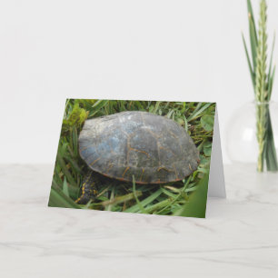 "Arboretum Painted Turtle" - Wohlfühlkarte Karte