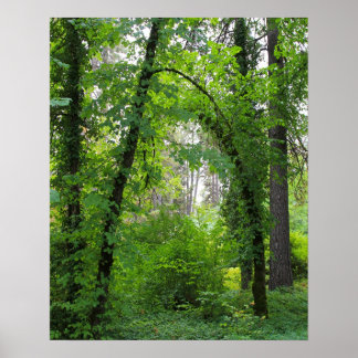 "Arch", Altenwald Poster
