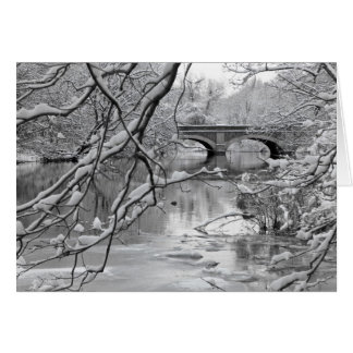 Arch Bridge über Frozen River im Winter